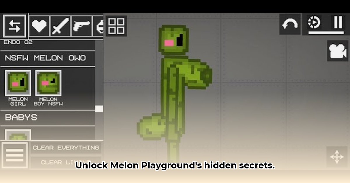 melon-playground-nsfw